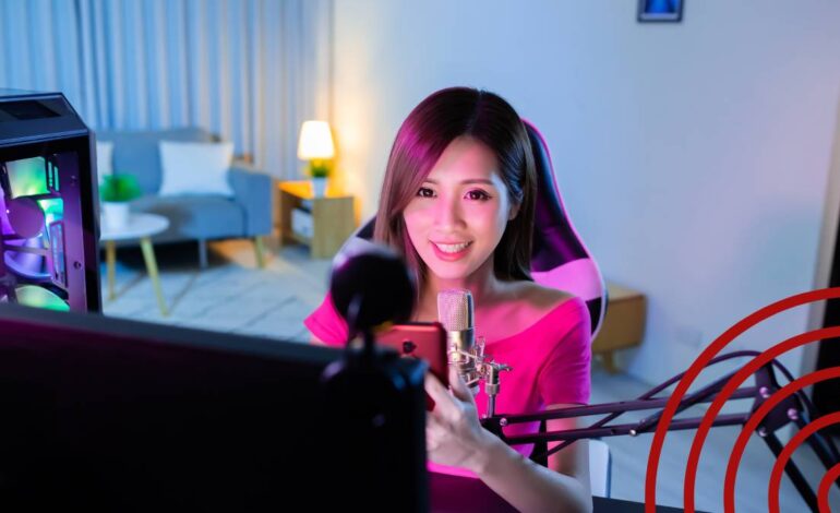 What Are Webcam Shows?